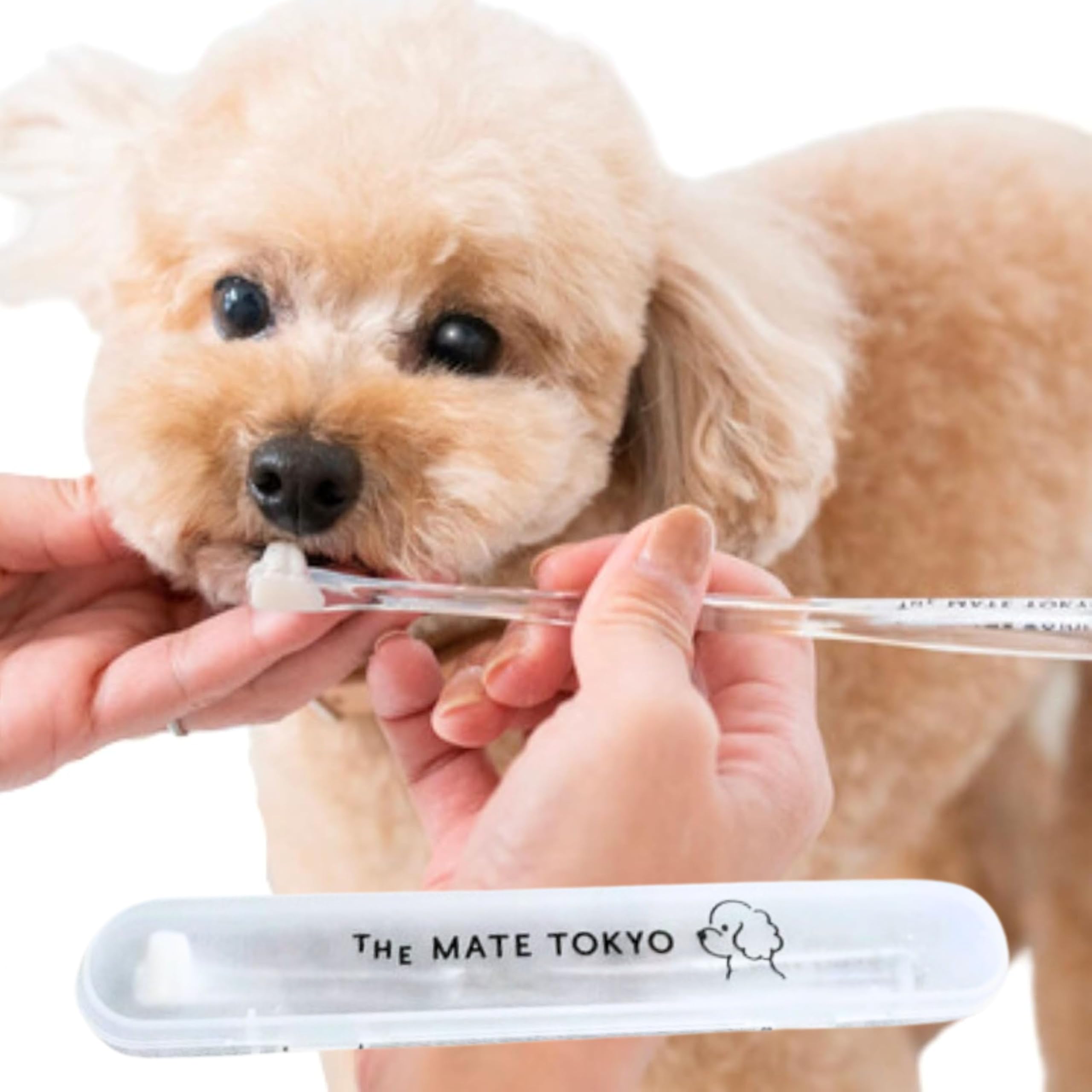 takumai-smileページ ドギーマンハヤシ NSC Wカーブ爪切り（4976555836981）｜猫用品